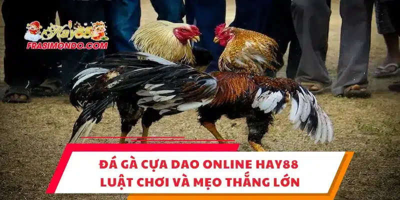 Đá Gà Cựa Dao Online Hay88 – Luật Chơi Và Mẹo Thắng Lớn